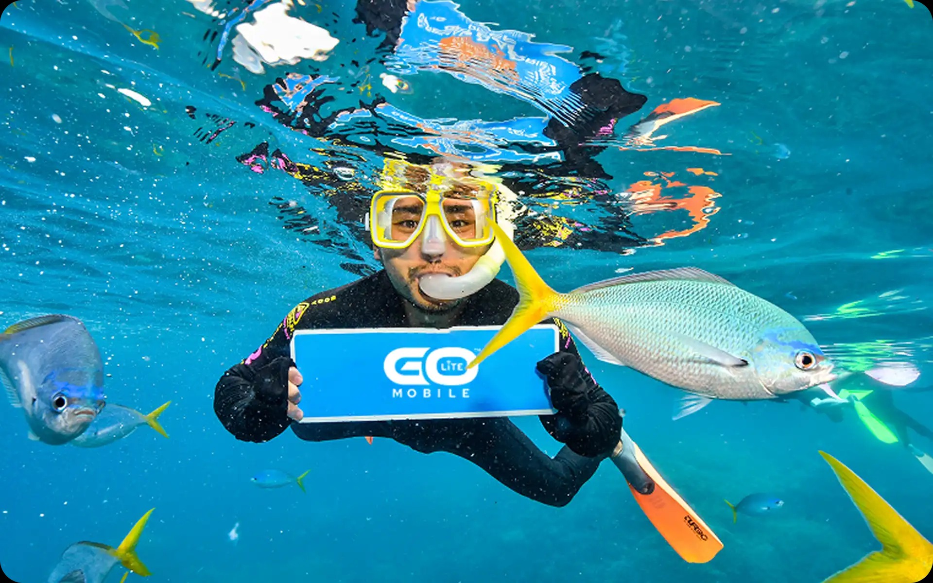 Scuba diver underwater holding GoLite Mobile sign next to fish
